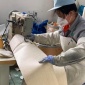 除塵布袋 脫硫脫硝PTFE除塵布袋 單機除塵器覆膜 抗結露氟美斯除塵濾袋；捷東**廠家生產，尺寸定制，支持技術檢測