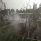 花園小池景觀造霧，人工造霧設備凈化空氣