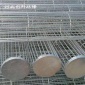 河北創(chuàng)科**生產(chǎn)除塵骨架 除塵骨架袋籠 噴塑籠骨鍍鋅骨架 質(zhì)優(yōu)價廉