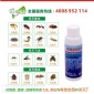 空消神網濃縮殺蟲液家用噴霧劑殺蟑螂螞蟻**滅臭蟲潮蟲無味水基**對人**無害家有嬰兒孕婦也可用