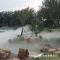 湖南 冷霧系統(tǒng) 小區(qū)霧森系統(tǒng) 公園人造霧設(shè)備 車間噴霧降溫設(shè)備  廠家全國上門安裝
