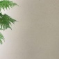 廠家 酒店草籽漆 裝修墻面涂料 藝術裝修涂料