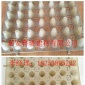 HDPE蓄排水板，品質供應，廠家蓄排水板，可定做