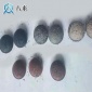 邢臺粘合劑價格