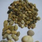 鑫凱** 供應各種規(guī)格 鵝卵石濾料