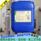 工業(yè)廢氣除臭劑 噴淋塔除味劑 植物液噴漆廢氣除味劑 全國**