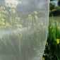 廠家花粉隔離網(wǎng)**目200目300目400目500目600目700目800目