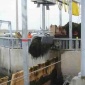 **供應污水廠**抓斗