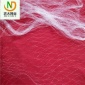 葡萄防鳥網(wǎng) 果園防鳥網(wǎng) 櫻桃枸杞防鳥網(wǎng) 抗腐蝕老化規(guī)格齊全外貿(mào)