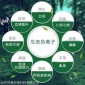 負離子是什么