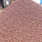 重慶陶粒廠 重慶回填陶粒價格 質優(yōu)價美 全國發(fā)貨