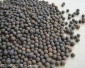 綿陽3-5mm陶粒濾料廠家
