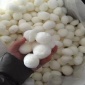 河南琦潤**批發纖維球填料