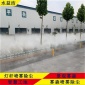 晉城道路霧森 園林人造霧 人造霧景觀廠家