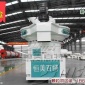 秸稈壓制顆粒成型機(jī)，木糠制粒生產(chǎn)設(shè)備成套設(shè)備哪家好