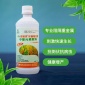 水稻葉面阻控劑（葉面肥）,降鎘增產(chǎn),中量元素肥料