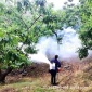 四平汽油植保機械彌霧機 果樹殺蟲防病彌霧機 輕便型煙霧果園打藥機廠