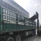 河南商丘玻纖格柵廠家 道路用30KN玻纖土工格柵 玻璃纖維材質