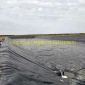 垃圾填埋**防水板土工膜 污水處理防水土工膜