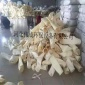 本廠 除塵布袋 常溫布袋 三防布袋  各種規格型號布袋
