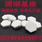 紐扣基座斷枝斷肢T型托盤sps海水珊瑚架繁殖陶瓷底座六角珊瑚基座