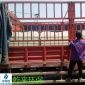 延遲焦化廢水處理 除硼劑 新技術 湖北