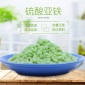 廠家硫酸亞鐵工業(yè)級(jí)水處理烘干顆粒肥料飼料級(jí)五水 七水綠礬
