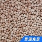 臭氧氧化催化劑 廢水提標(biāo)改造煤化工 煉油臭氧催化劑廢水處理
