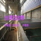 鮑魚池漆 鮑魚苗 苗池**漆 水產養殖魚苗蝦苗清水槽**漆