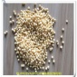 各類發(fā)泡母粒彩色PE-PP-EVA用低倍發(fā)泡母粒-高倍發(fā)泡母粒