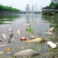 廠家污水除臭劑 生活工業(yè)污水除臭味劑 反應速度快 快速除臭