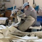 捷東** 江蘇 阜寧濾料 產業園濾袋 生產廠家供應 耐高溫 覆膜氟美斯 針刺氈 除塵布袋 經銷商，廠家生產，支持檢測