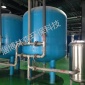 淄博林森LS-CF型飲用水除氟設備30T/H全自動井水除氟設備專注高氟地區(qū)除氟設備